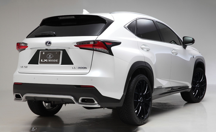 Lexus nx z10