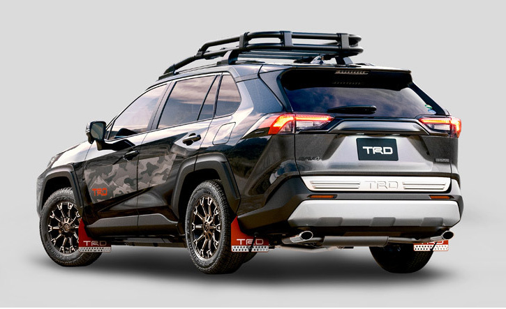 Rav4 50 кузов